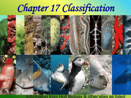 Chapter 17 Notes - schallesbiology