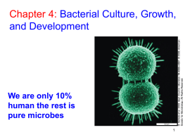Microbial culture and growth - Microbiology and Molecular Genetics