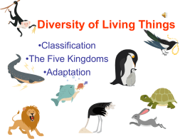 Diversity of Living Things