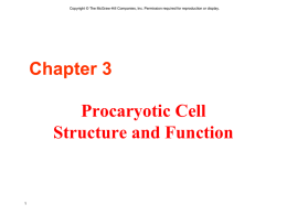 Microbial Cell Structure and Function
