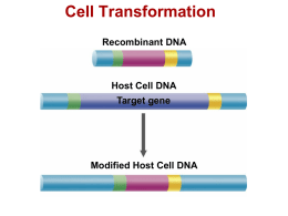 4.4 Genetic modification and clonng