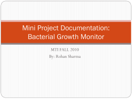 Mini Project Documentation