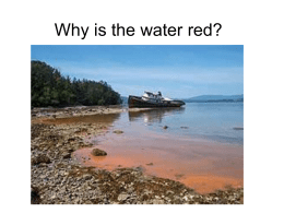 Why is the water red? - California Lutheran University