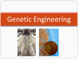 Genetic Engineering - Kent City School District
