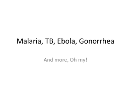 Malaria, TB, Syphilis, Gonorrhea
