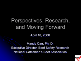 Interventions for a Beef Safety System