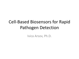 Biosensors for rapid pathogen detection