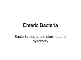 Enteric Bacteria - Information Technology Services