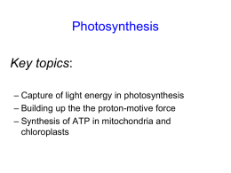 Oxidative Phosphorylationand PhotoPhosphorylation