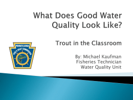 What Does Good Water Quality Look Like?