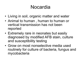 Nocardia - ชมรมโรคระบบ