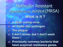 Staphylococcus aureus Management of a Problematic Pathogen
