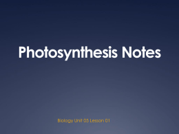 Photosynthesis Notes