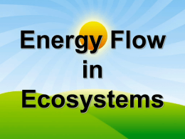 Energy Flow in Ecosystems - ESC-2