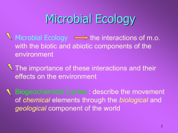 Microbial Ecology - Bhupalaka's Blog