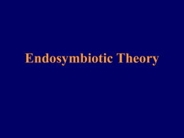 Endosymbiotic Theory - University of Evansville