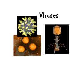 Viruses - Hudson City School District