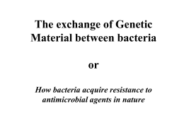 The exchange of Genetic Material between bacteria or How