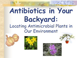 Locating and Evaluating Novel Antimicrobial Compounds in