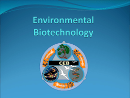 Environmental Biotechnology - Algonquin and Lakeshore
