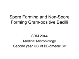 Spore Forming and Non-Spore Forming Gram