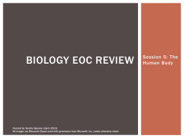 Biology EOC Review