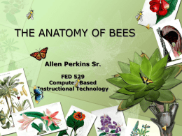 THE ANATOMY OF BEES - AAMU Myspace Login