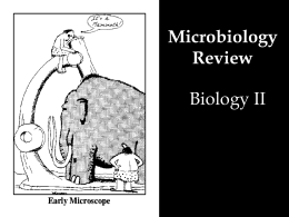 Microbiology Review Biology II