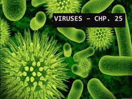Viruses – Chp. 25 - Tamaqua Area School District