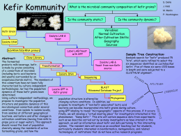 Kefir Kommunity - BioQUEST Curriculum Consortium