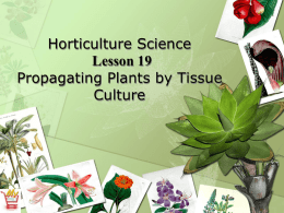 Horticulture Science