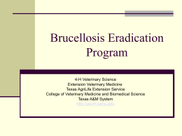 Brucellosis Eradication Program