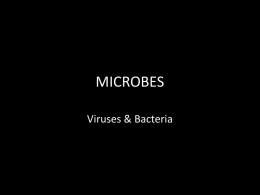 MICROBES