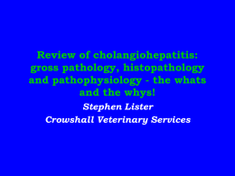 Review of cholangiohepatitis: gross pathology