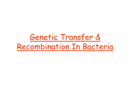Genetic Transfer & Recombination In Bacteria