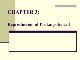 CHAPTER 3: Reproduction of Prokaryotic cell