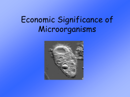 Economic Significance of Microorganisms