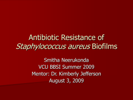 Antibiotic Resistance of Staphylococcus aureus Biofilms