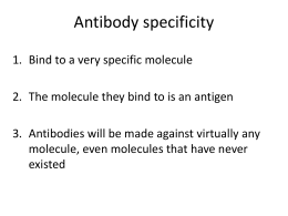 Antibody specificity - Union County College Faculty Web Site