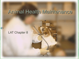 Animal Health Maintenance