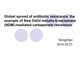Global spread of antibiotic resistance: the example of New