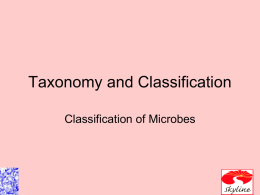 Ch 10 Taxonomy and Classification