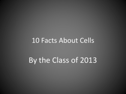 Cells are to small to be seen without magnification