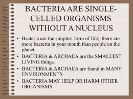 BACTERIA ARE SINGLE-CELLED ORGANISMS WITHOUT A …