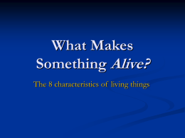 What Makes Something Alive?