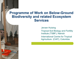 A research agenda for below-ground biodiversity and