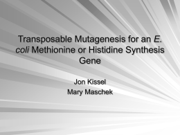 Transposable Mutagenesis for an E. coli Methionine