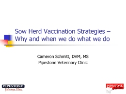 Sow Herd Vaccination Strategies – Why and when we do what