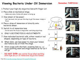 How to View Bacteria with Microscope Under Oil Immersion