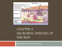 Chapter 4 MICROBIAL DISEASES OF THE SKIN